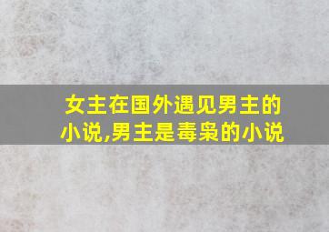 女主在国外遇见男主的小说,男主是毒枭的小说