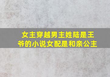 女主穿越男主姓陆是王爷的小说女配是和亲公主