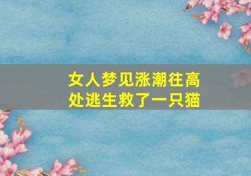 女人梦见涨潮往高处逃生救了一只猫