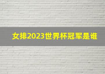 女排2023世界杯冠军是谁