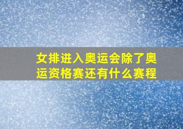 女排进入奥运会除了奥运资格赛还有什么赛程