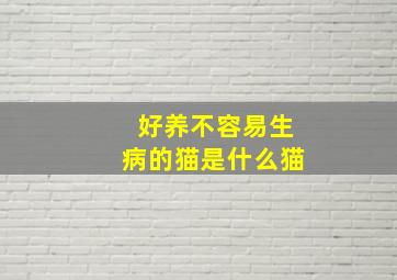 好养不容易生病的猫是什么猫