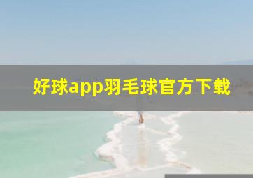 好球app羽毛球官方下载