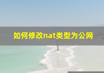 如何修改nat类型为公网