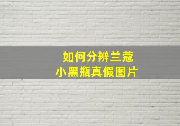 如何分辨兰蔻小黑瓶真假图片