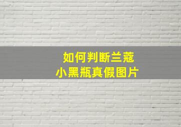 如何判断兰蔻小黑瓶真假图片