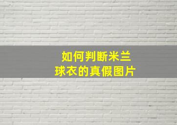 如何判断米兰球衣的真假图片