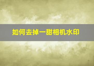 如何去掉一甜相机水印