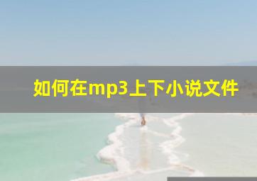 如何在mp3上下小说文件