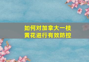 如何对加拿大一枝黄花进行有效防控