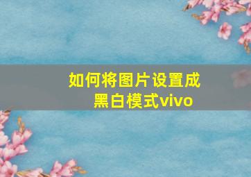 如何将图片设置成黑白模式vivo