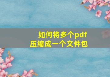 如何将多个pdf压缩成一个文件包