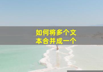 如何将多个文本合并成一个