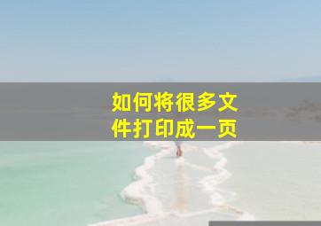 如何将很多文件打印成一页