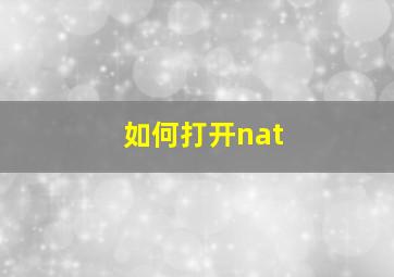 如何打开nat