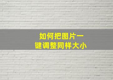 如何把图片一键调整同样大小