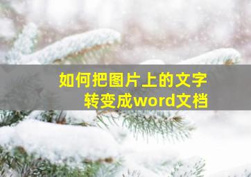 如何把图片上的文字转变成word文档