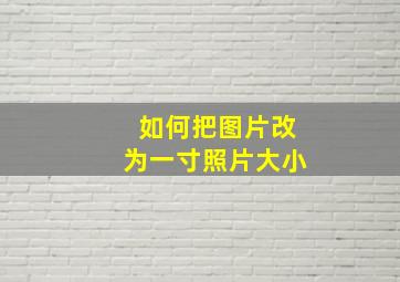 如何把图片改为一寸照片大小