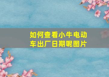 如何查看小牛电动车出厂日期呢图片