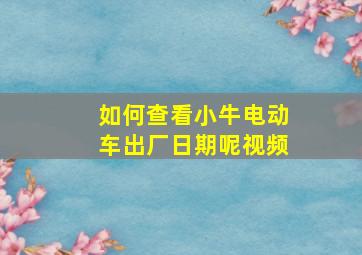 如何查看小牛电动车出厂日期呢视频