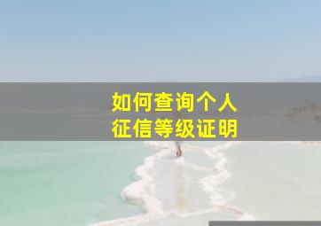 如何查询个人征信等级证明