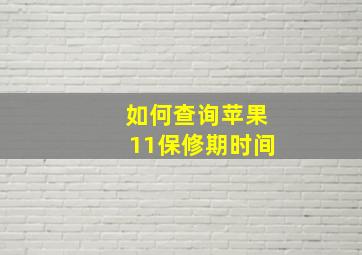 如何查询苹果11保修期时间