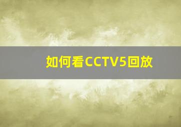 如何看CCTV5回放