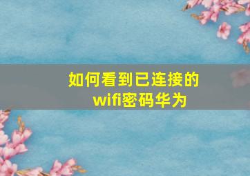 如何看到已连接的wifi密码华为