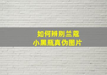 如何辨别兰蔻小黑瓶真伪图片