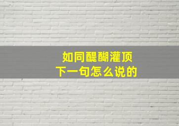 如同醍醐灌顶下一句怎么说的