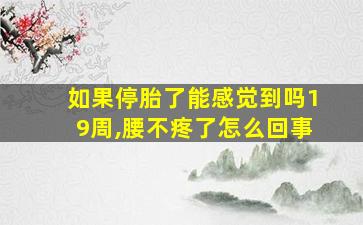 如果停胎了能感觉到吗19周,腰不疼了怎么回事