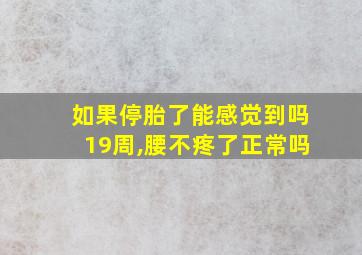 如果停胎了能感觉到吗19周,腰不疼了正常吗