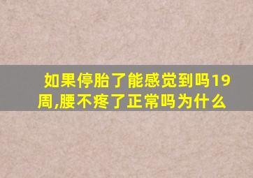 如果停胎了能感觉到吗19周,腰不疼了正常吗为什么