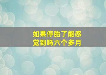 如果停胎了能感觉到吗六个多月