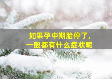 如果孕中期胎停了,一般都有什么症状呢