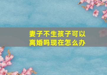 妻子不生孩子可以离婚吗现在怎么办