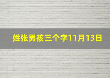 姓张男孩三个字11月13日