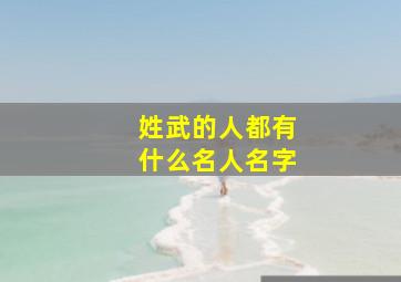 姓武的人都有什么名人名字