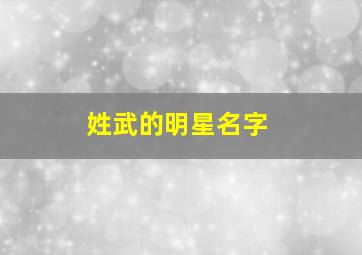 姓武的明星名字