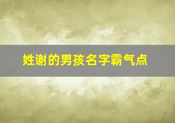 姓谢的男孩名字霸气点