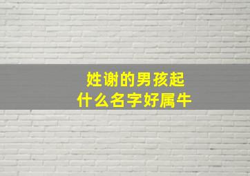 姓谢的男孩起什么名字好属牛