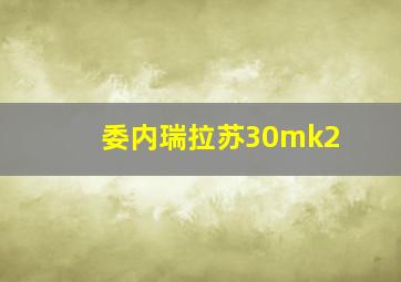 委内瑞拉苏30mk2