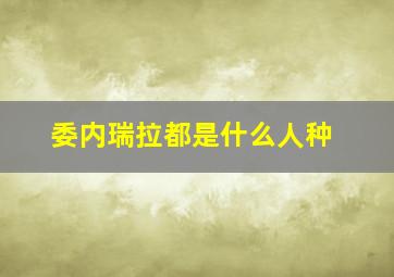 委内瑞拉都是什么人种