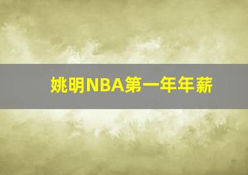 姚明NBA第一年年薪