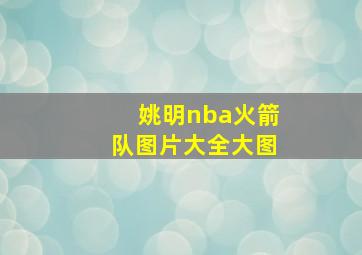 姚明nba火箭队图片大全大图