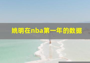 姚明在nba第一年的数据