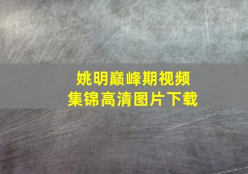 姚明巅峰期视频集锦高清图片下载