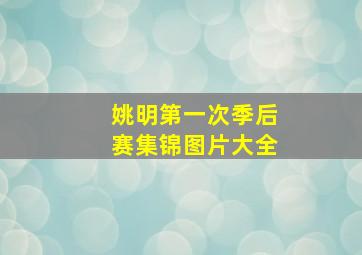 姚明第一次季后赛集锦图片大全