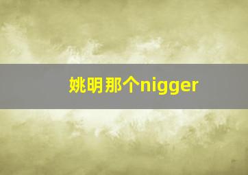 姚明那个nigger