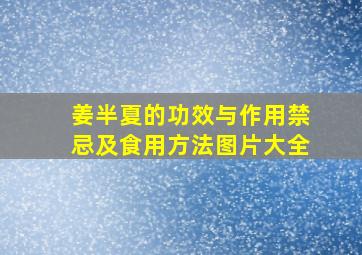 姜半夏的功效与作用禁忌及食用方法图片大全